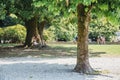 Man relaxing in a park in Bellagio, Lake Como, Italy.